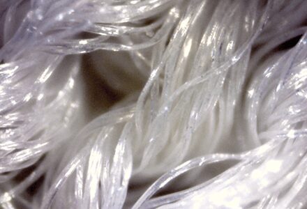 Close-up image of silky, translucent white Celliant fibers intertwined, creating a glossy and smooth texture. The fibers appear to be thin and thread-like, with a soft sheen reflecting light.