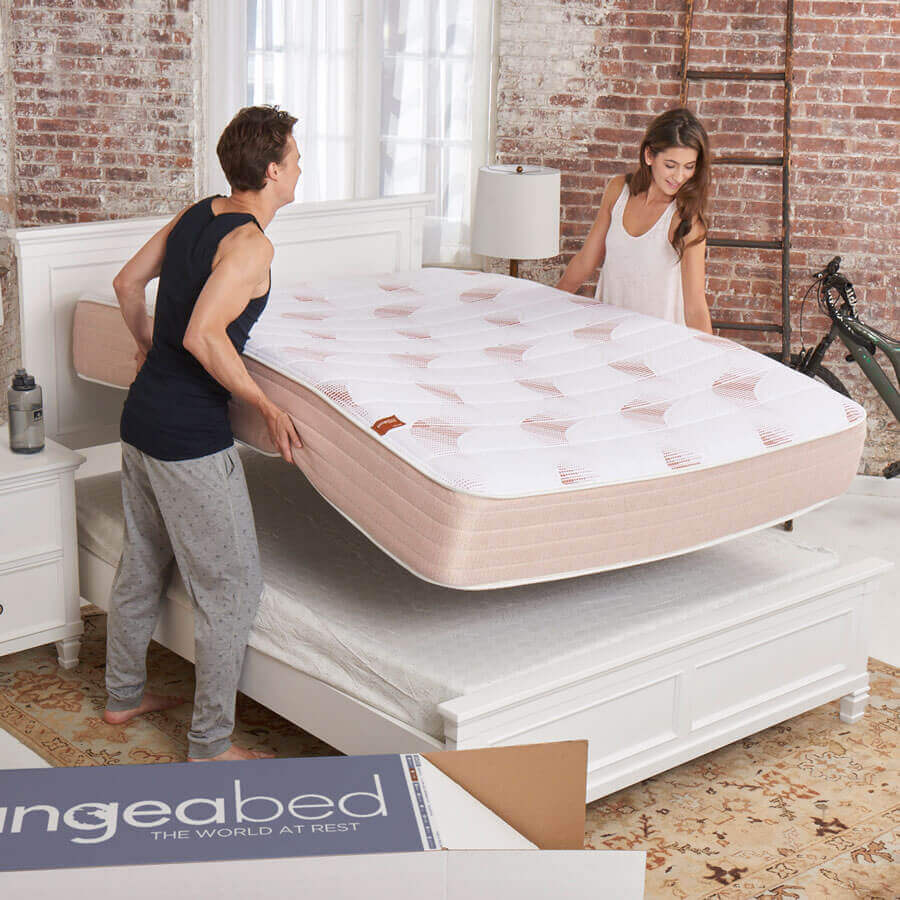 Pangea Bed