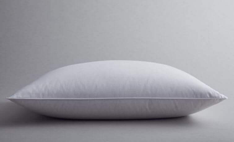 Slumbr ara pillow