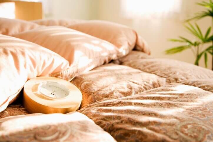 Best Down Comforter