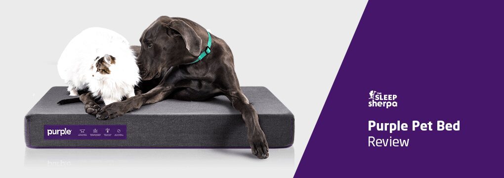 Purple Pet Bed Review