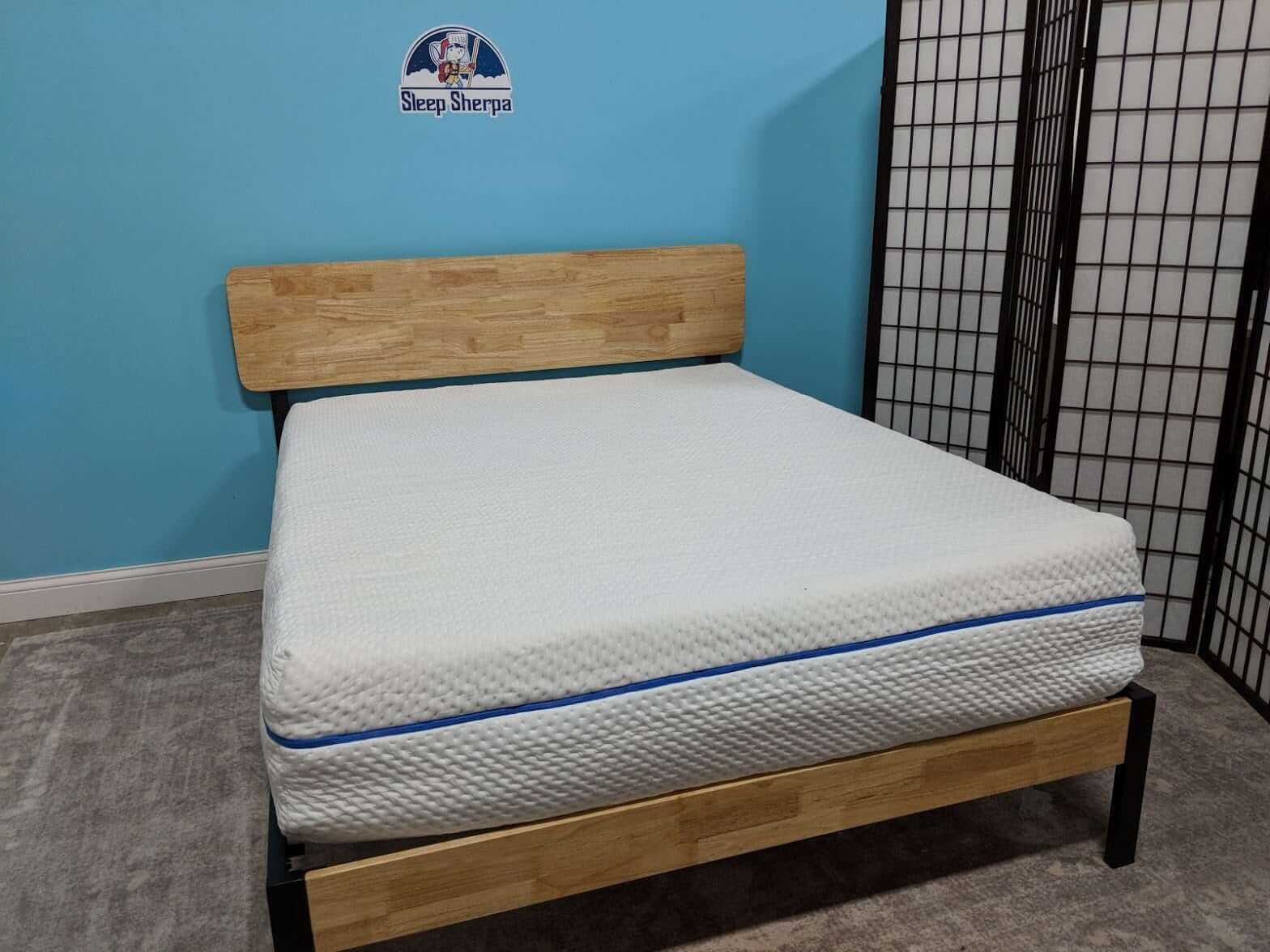sleepovation mattress review