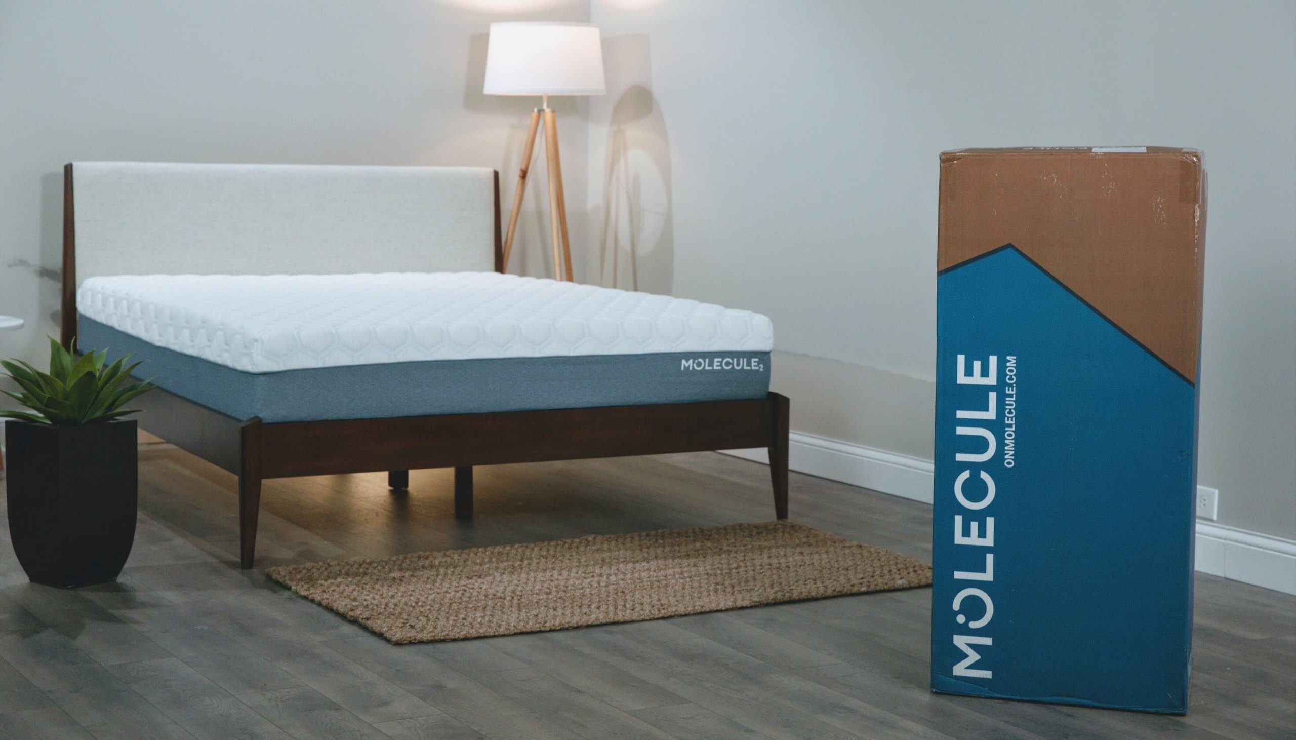 Molecule Mattress Review 1 scaled
