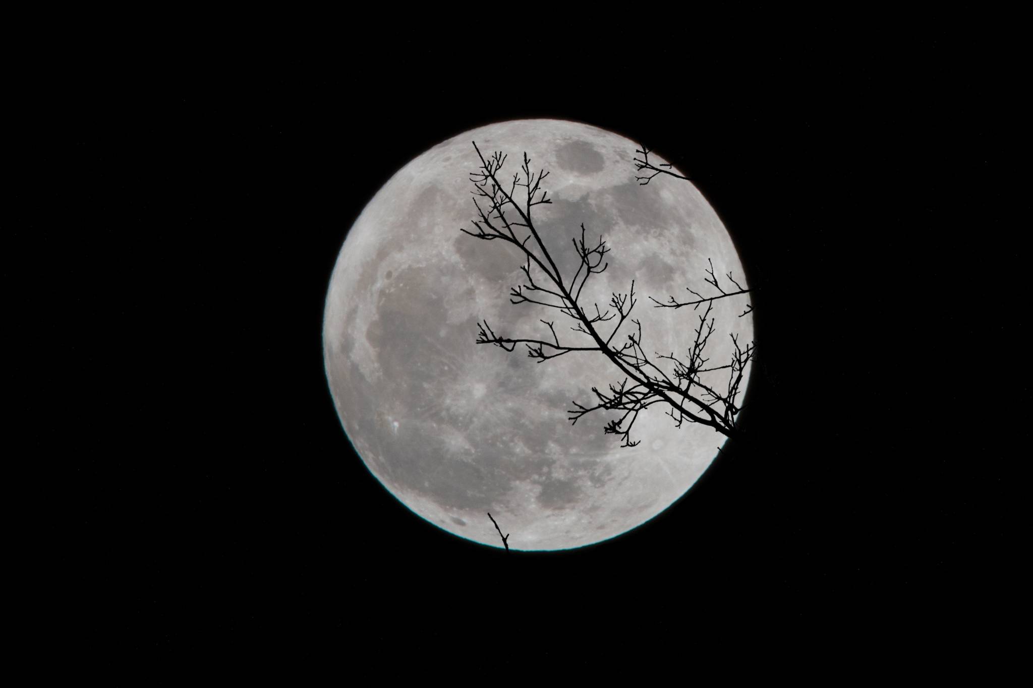 moon and sleep