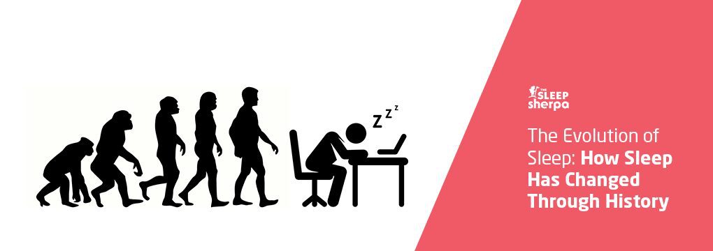 The Evolution of Sleep How Sleep Has Changed Through History