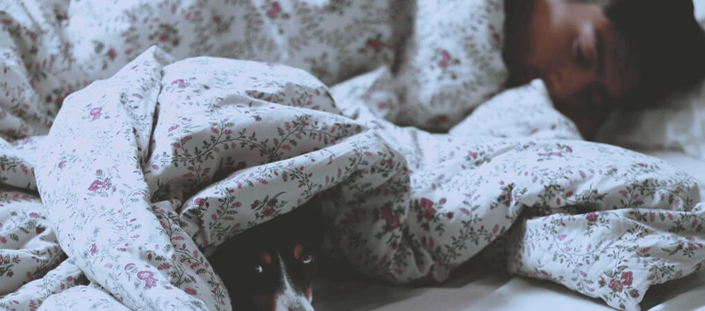 Pink Noise The Best Sound for Sleep