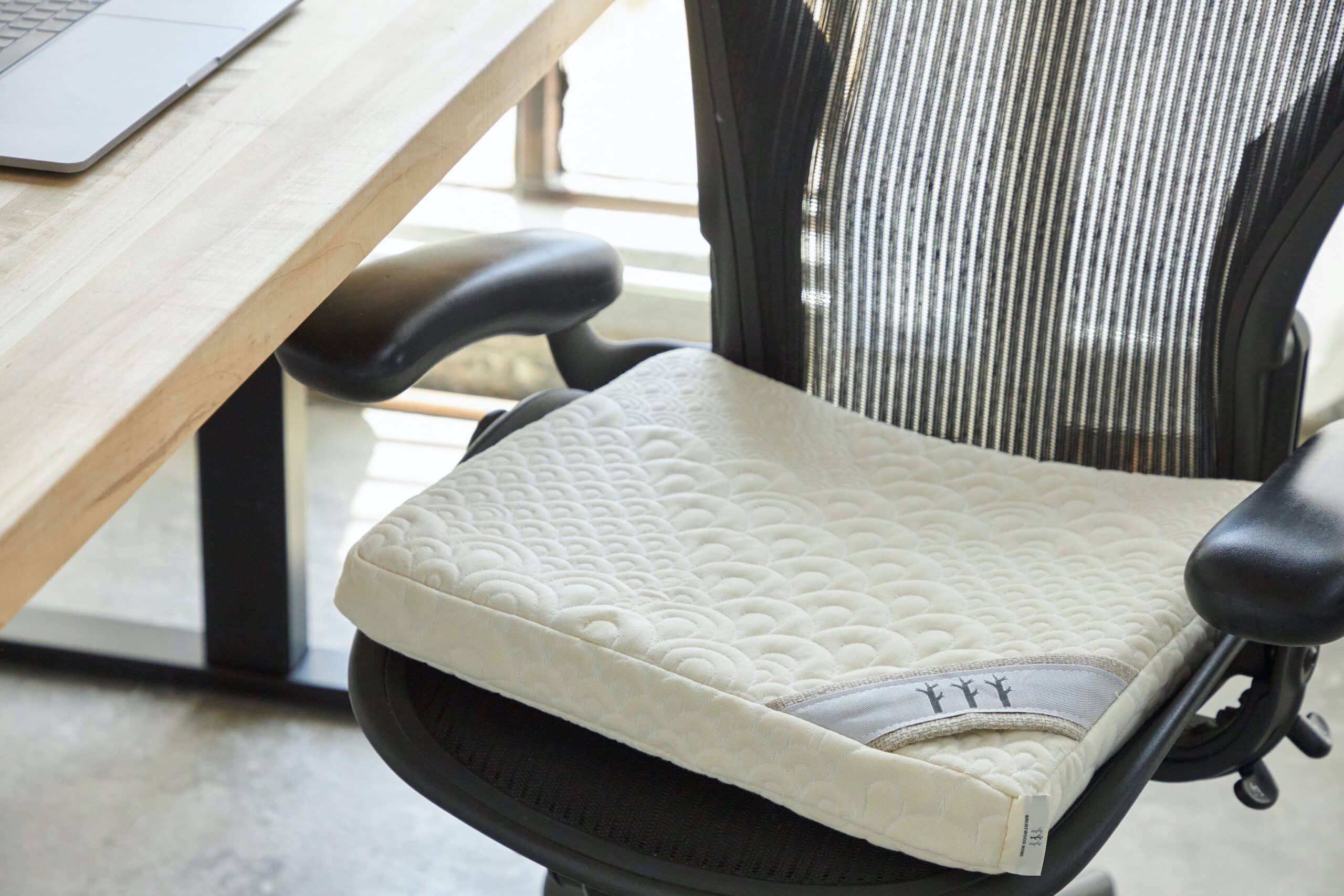Seat Cushion 3 scaled