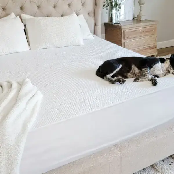Puffy Mattress Protector