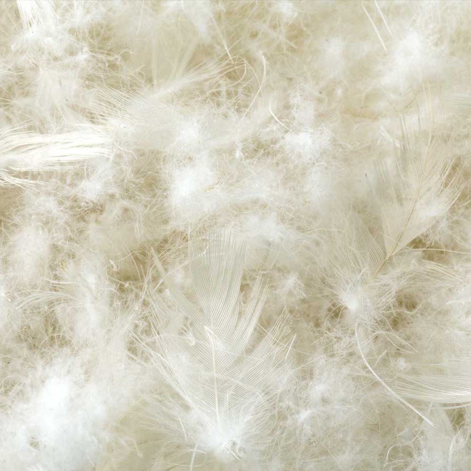 feather 15001429650258 original
