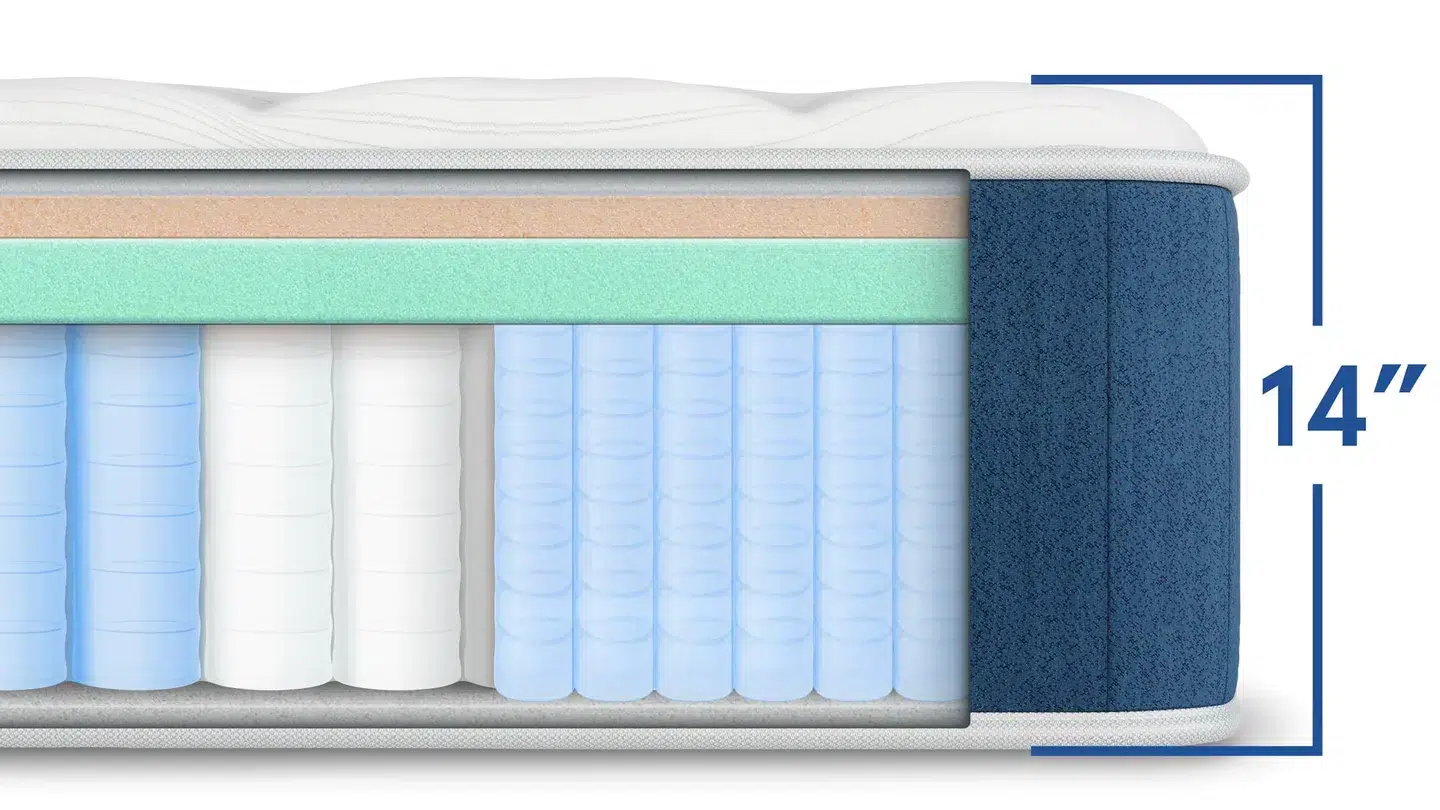 Bear Elite Hybrid Internal Construction Layers Diagram