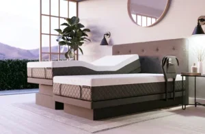 Dawn House Bed