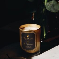 Websiteslidertemplate750x1100 1 600x