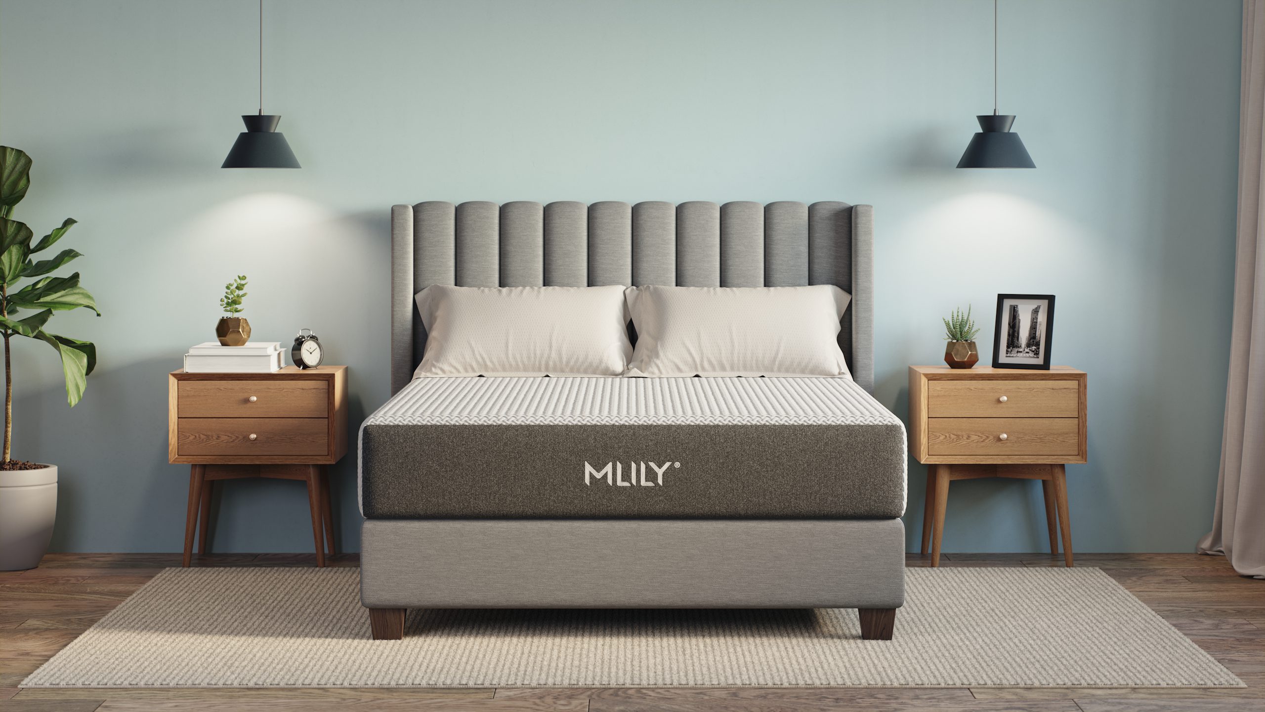 Mlily Fusion Ortho