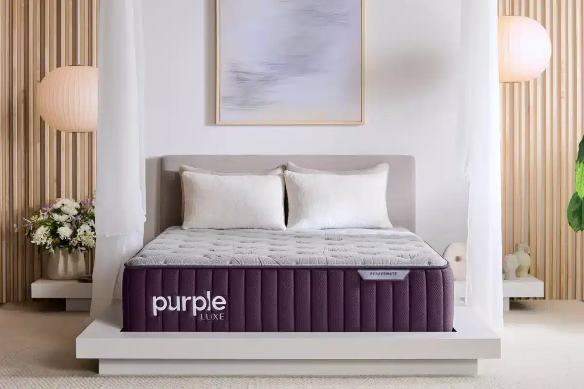 Purple Rejuvenate