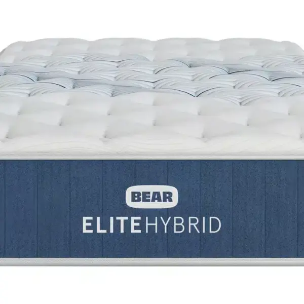 bear elite hybrid