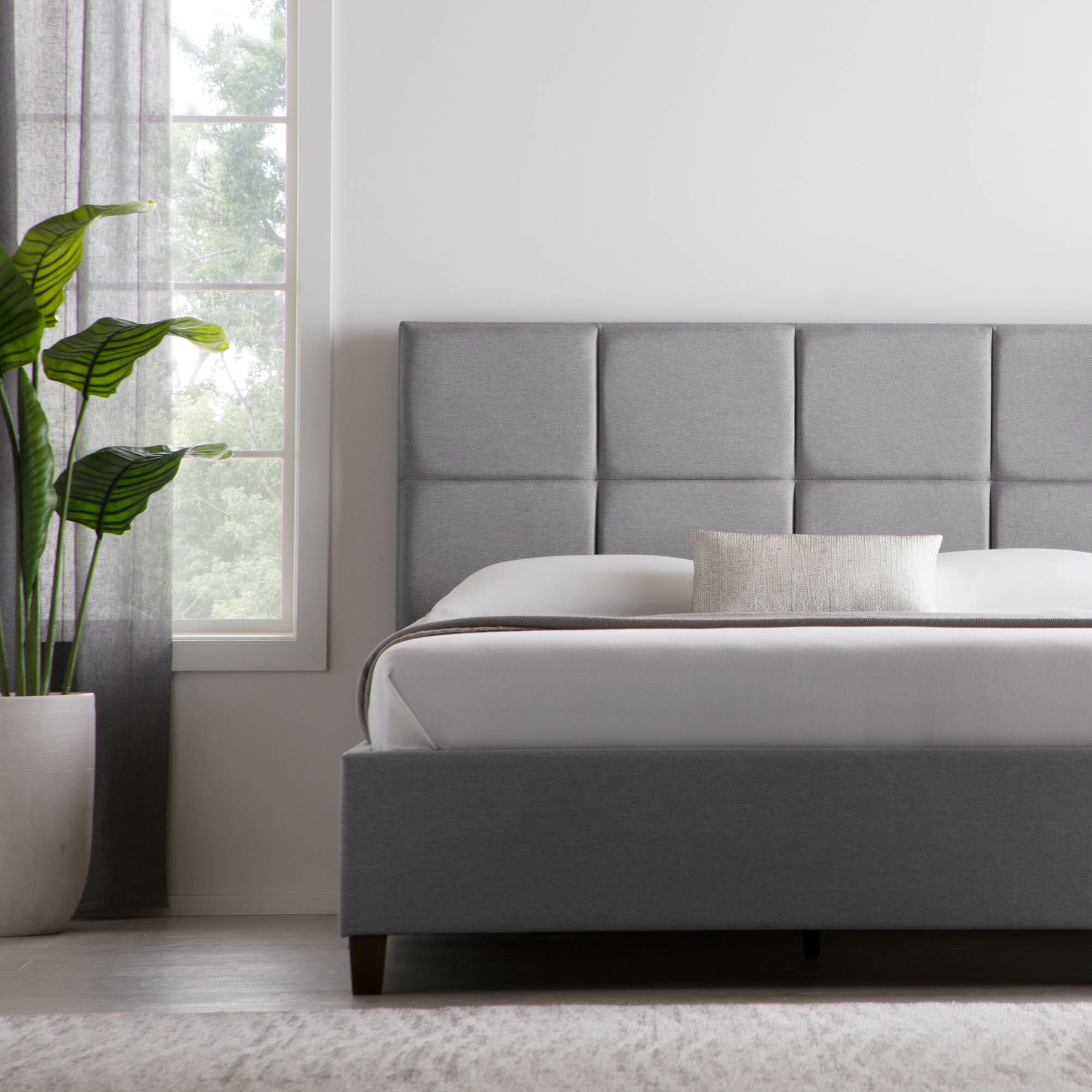 A modern bedroom showcases the Scoresby Designer Bed, upholstered in gray with a padded headboard and adorned with white and gray bedding. A tall potted plant with broad leaves is placed next to a large window, letting natural light illuminate the minimalistic and serene space.