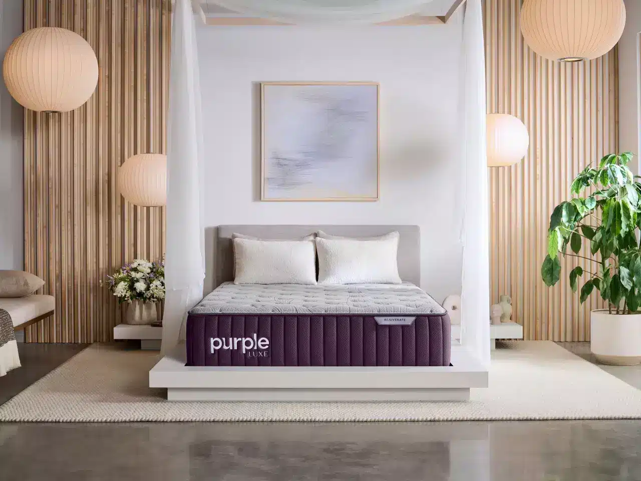 Purple Rejuvenate Luxe collection lineup