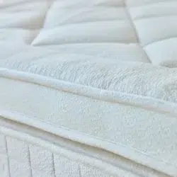 Avocado Luxury Box Top