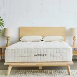 avocado lluxury standard