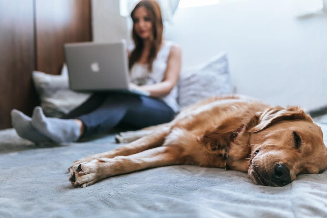 SleepDog RV Mattress Review and Buyerâ€™s Guide