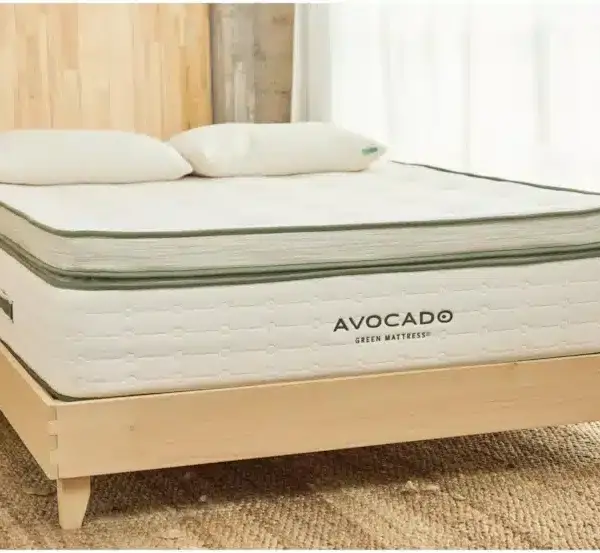 avocado box top