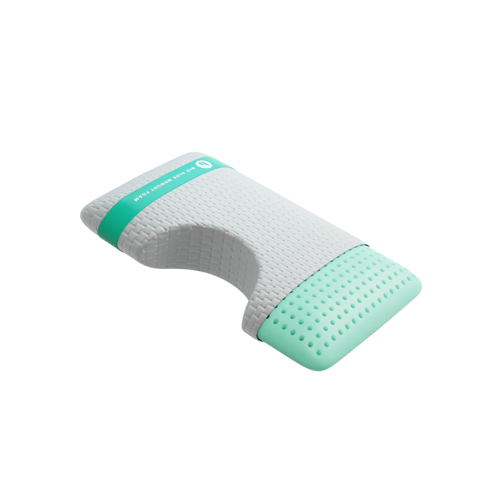 Blu Sleep Bio Aloe Pillow
