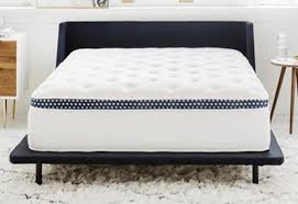 Winkbed Plus Review