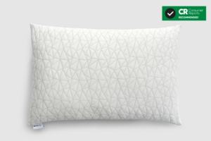 Coop Home Goods The Original Pillow — Best Down Alternative Pillow for Combination Sleepers (2026)