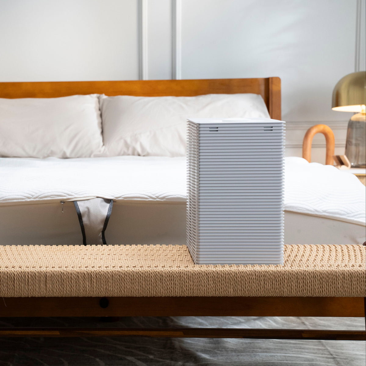 Navien OptiSleep SleepHub control unit detail