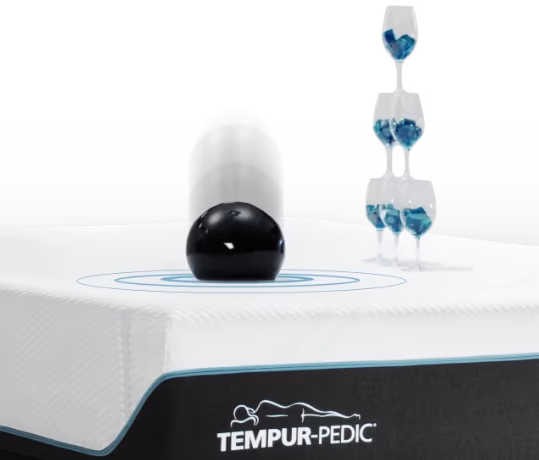 TEMPUR-Adapt motion cancellation demonstration
